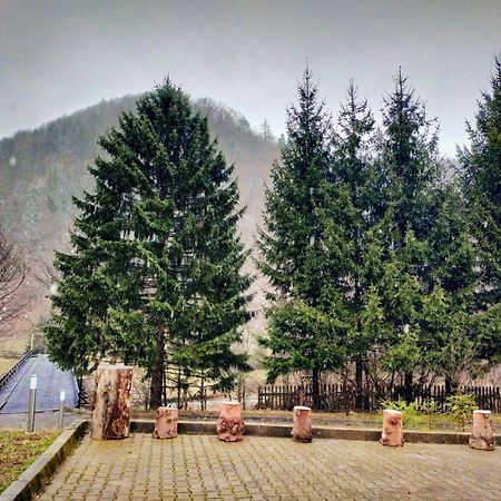 Villa & Spa 4Temporadas - Plaiul Foii Zărneşti Dış mekan fotoğraf