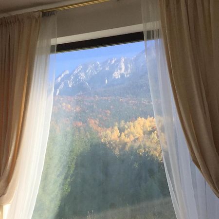 Villa & Spa 4Temporadas - Plaiul Foii Zărneşti Dış mekan fotoğraf
