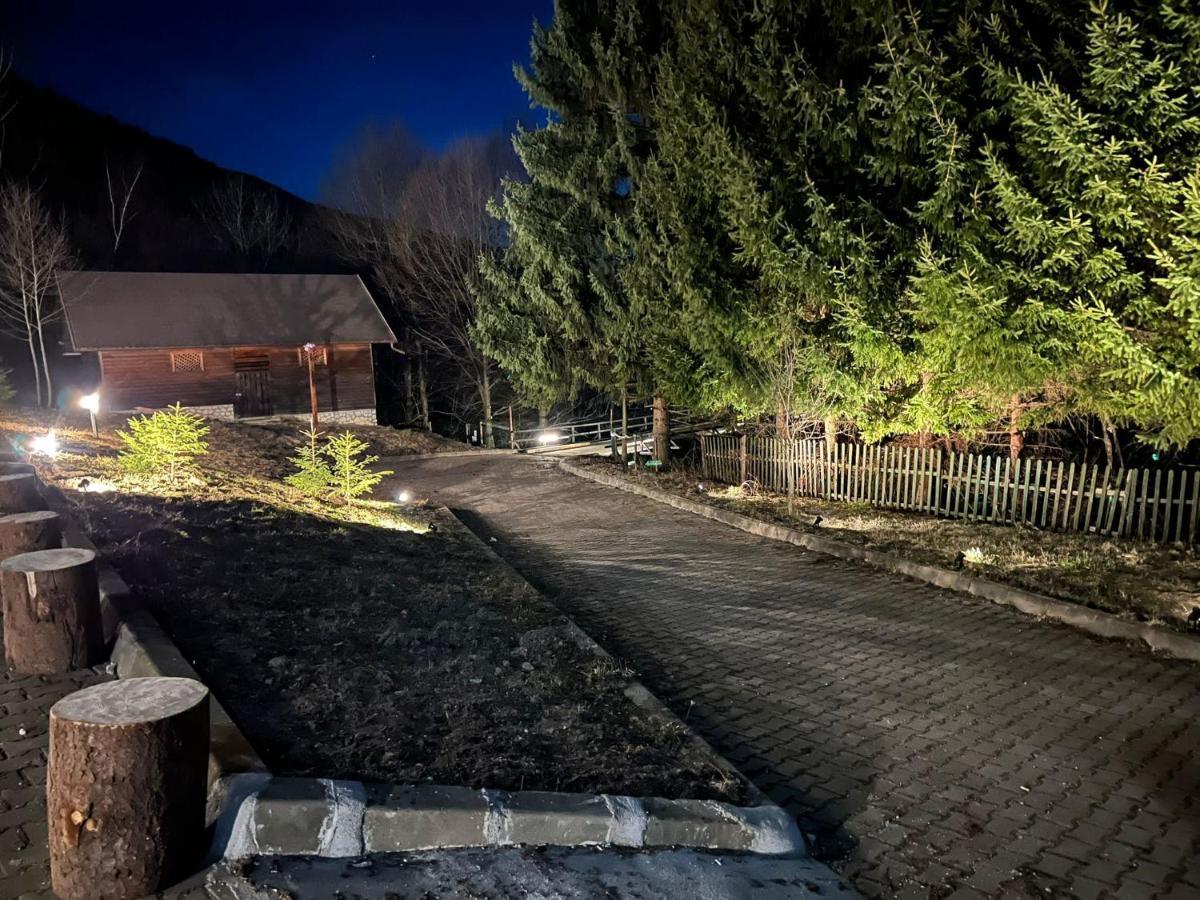 Villa & Spa 4Temporadas - Plaiul Foii Zărneşti Dış mekan fotoğraf