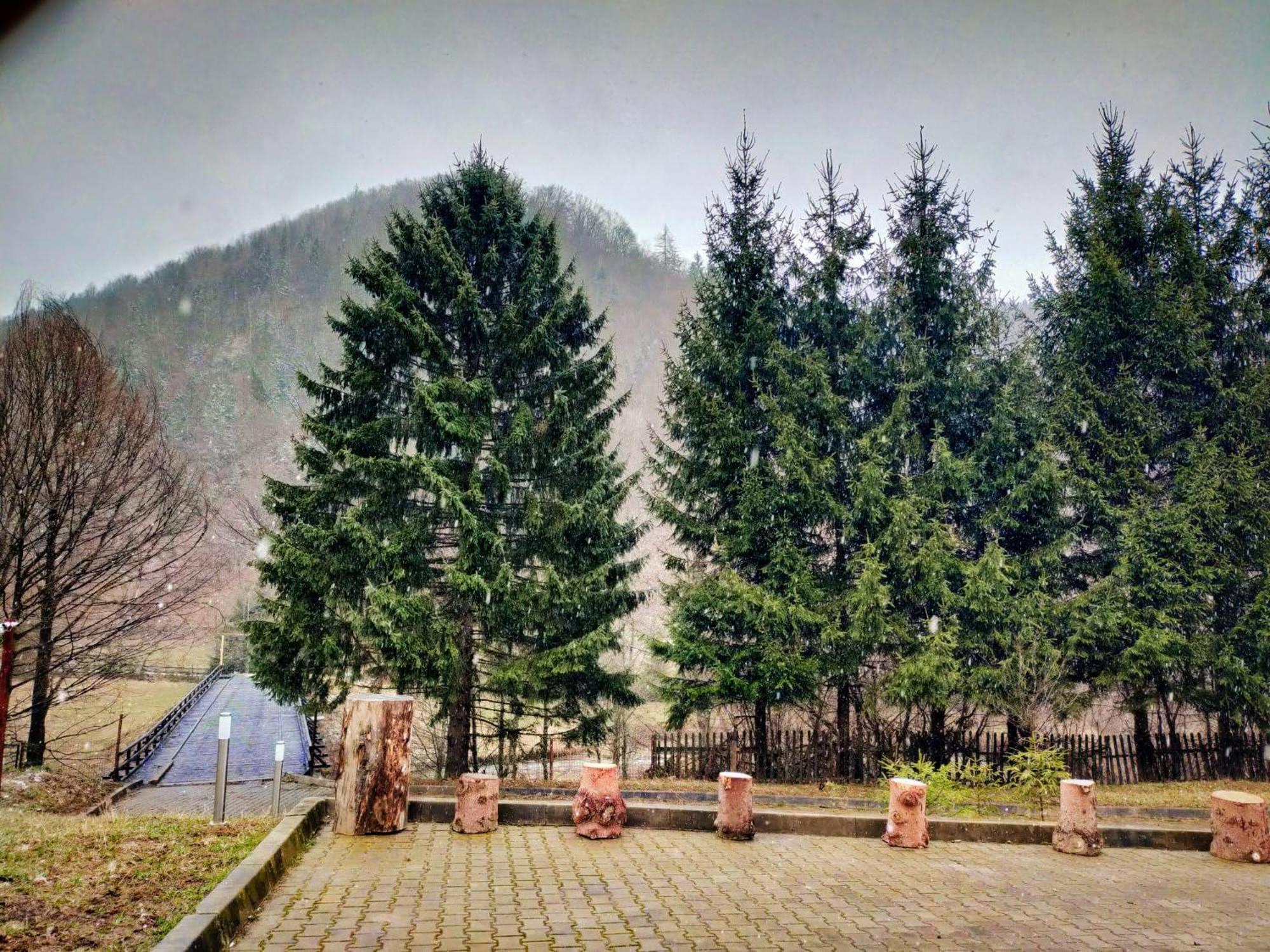 Villa & Spa 4Temporadas - Plaiul Foii Zărneşti Dış mekan fotoğraf
