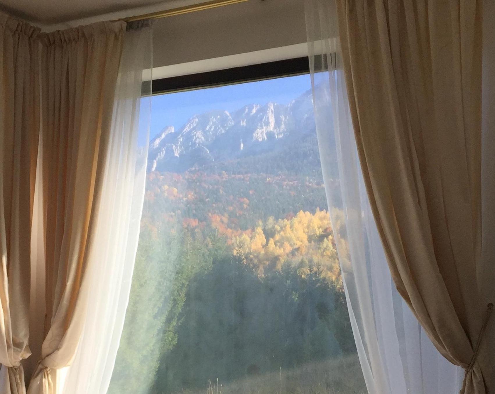 Villa & Spa 4Temporadas - Plaiul Foii Zărneşti Dış mekan fotoğraf
